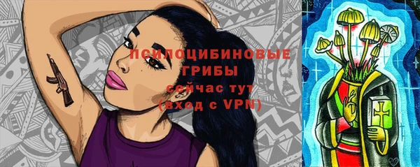 молекула духа Арсеньев