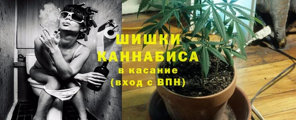молекула духа Арсеньев